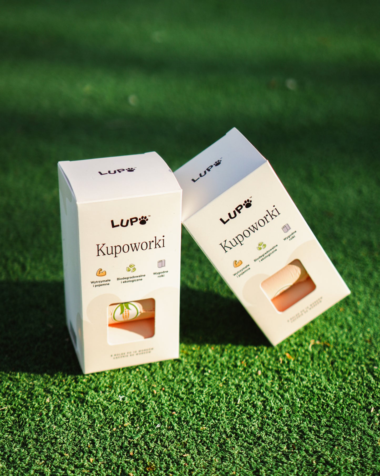 Kupoworki